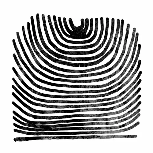 Cover of Rival Consoles – Howl