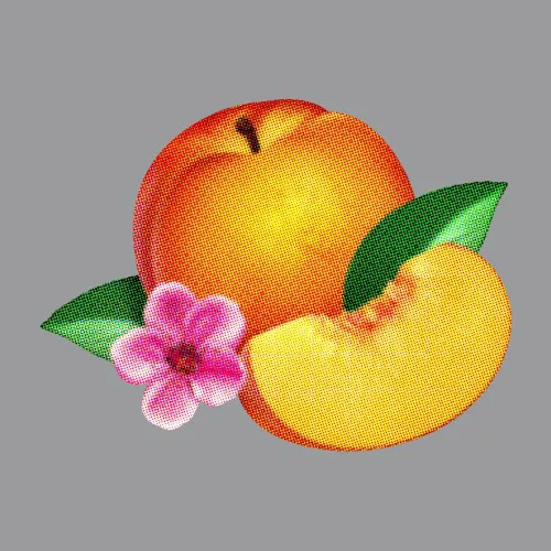 Cover of Phoenix – Bankrupt!