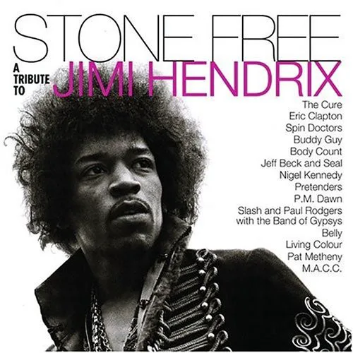 Obal alba Various Artists – Stone Free: A Tribute to Jimi Hendrix