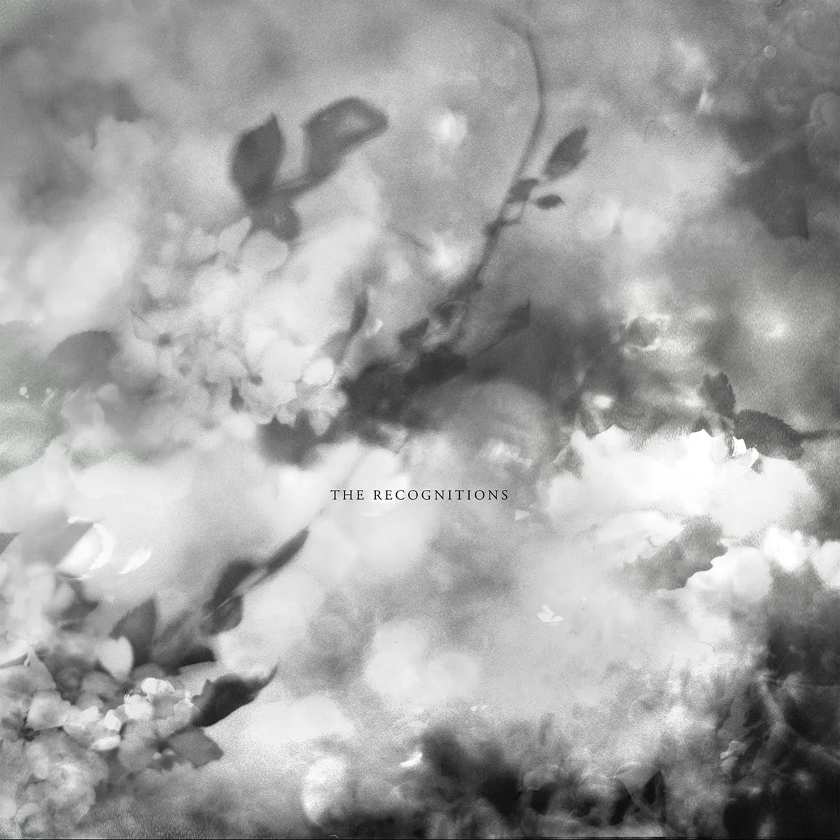 Cover of Exitmusic – The Recognitions
