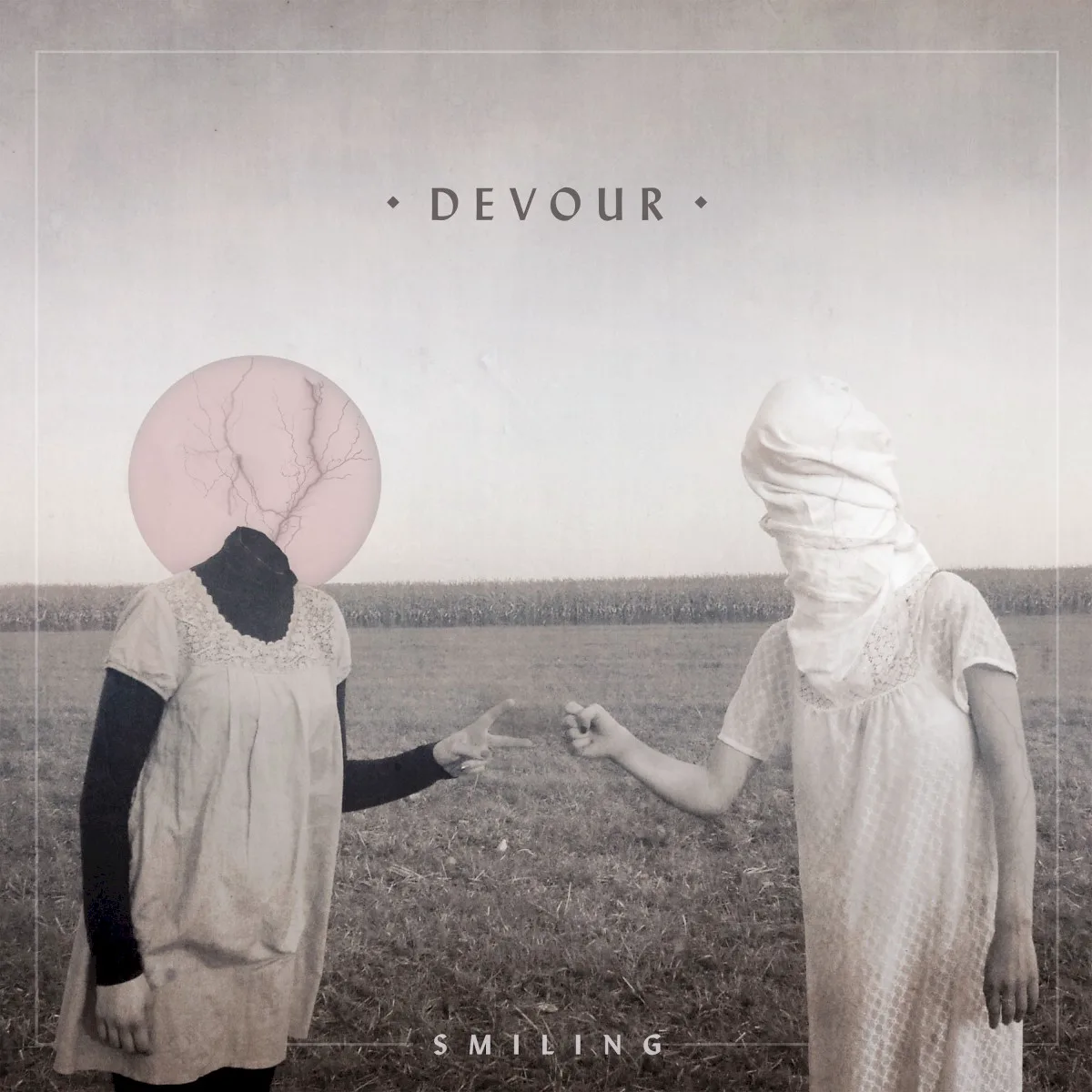 Cover of Smiling – Devour