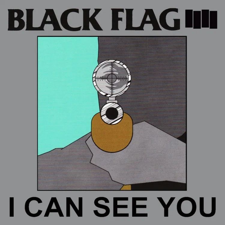 Cover of I Can See You