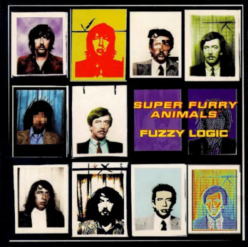 Cover of Super Furry Animals – Fuzzy Logic