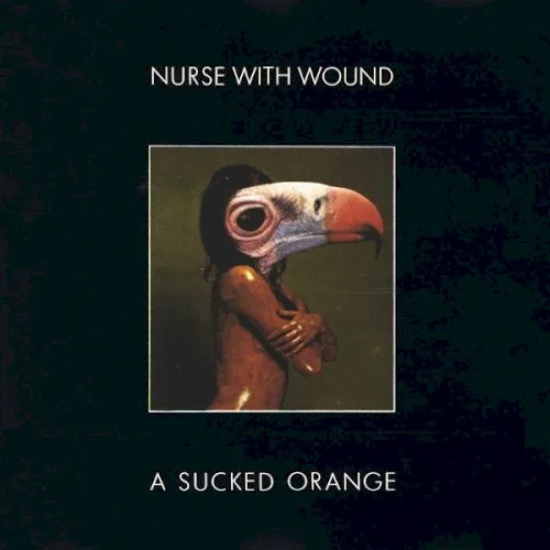 Cover of Nurse With Wound – A Sucked Orange