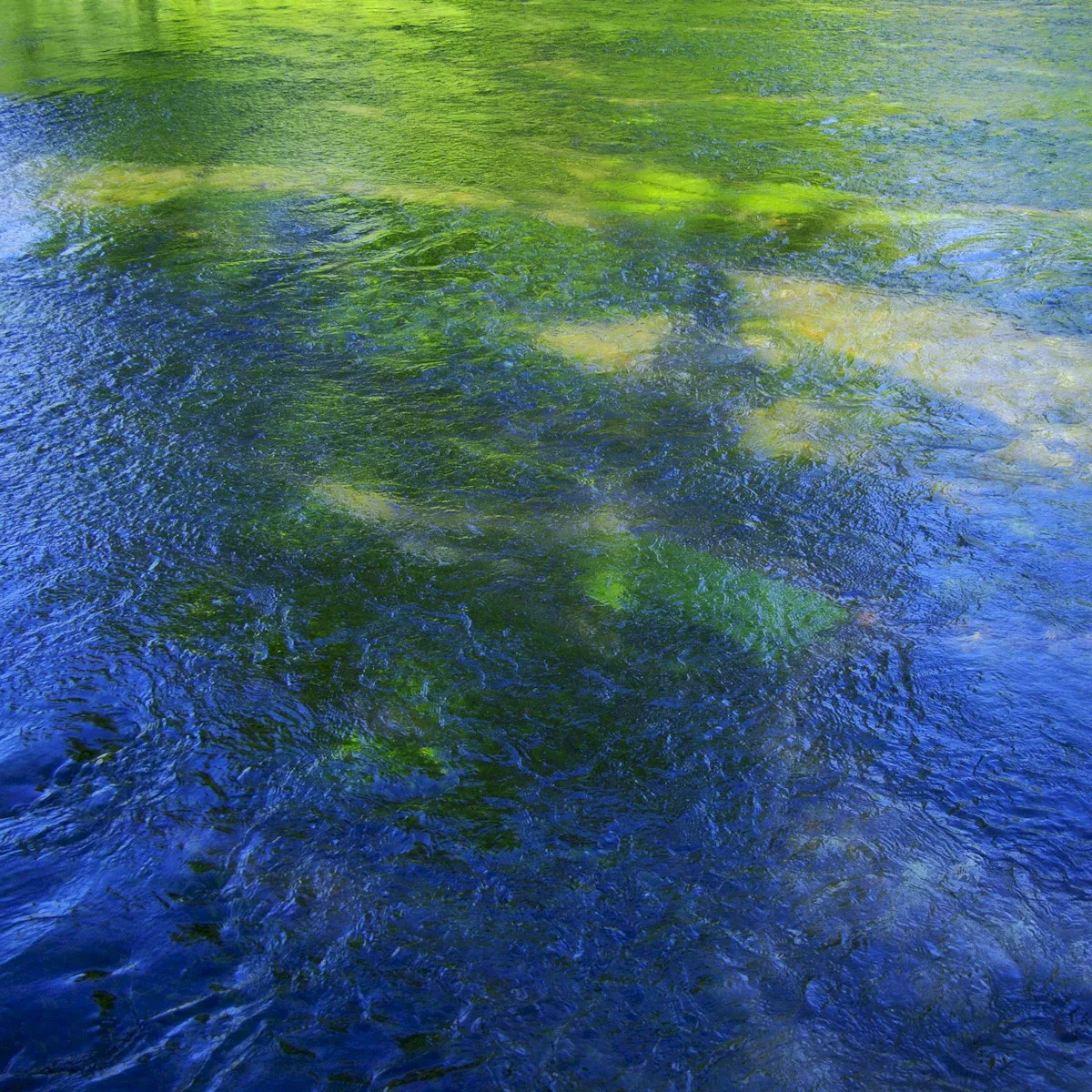 Cover of Caribou – Suddenly Remixes