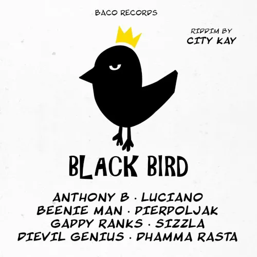 Obal alba Various Artists – Black Bird Riddim by City Kay