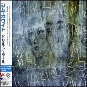 Cover of Jim White – Drill a Hole in That Substrate and Tell Me What You See
