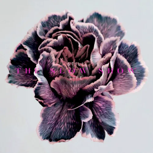Cover of The Slow Show – Still Life