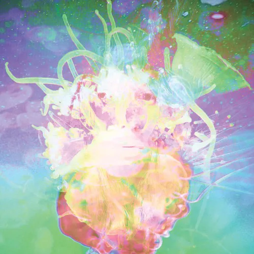 Cover of katie dey – solipsisters