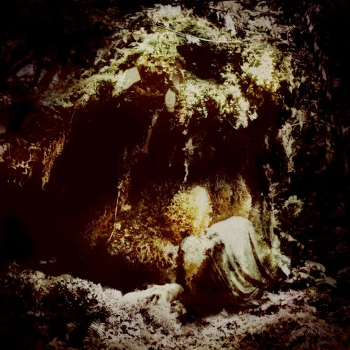 Obal alba Wolves in the Throne Room – Celestial Lineage