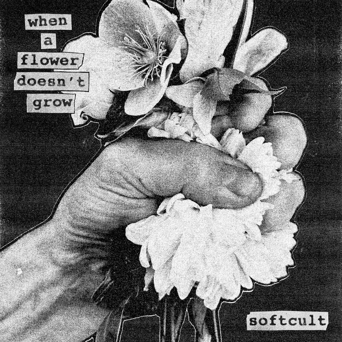 Cover of Softcult – When A Flower Doesn’t Grow