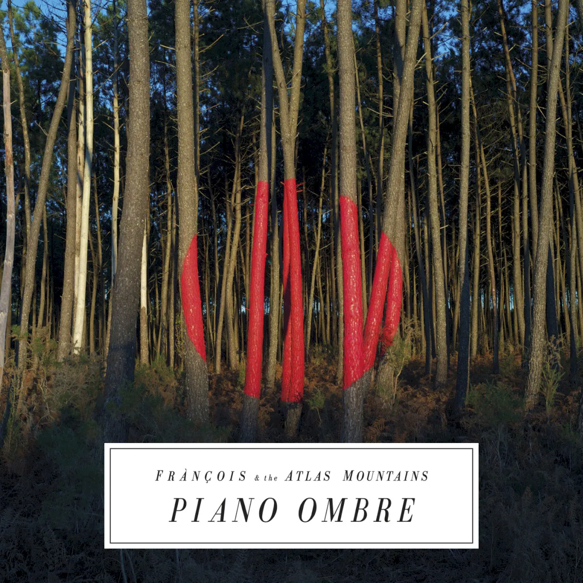 Obal alba Piano ombre