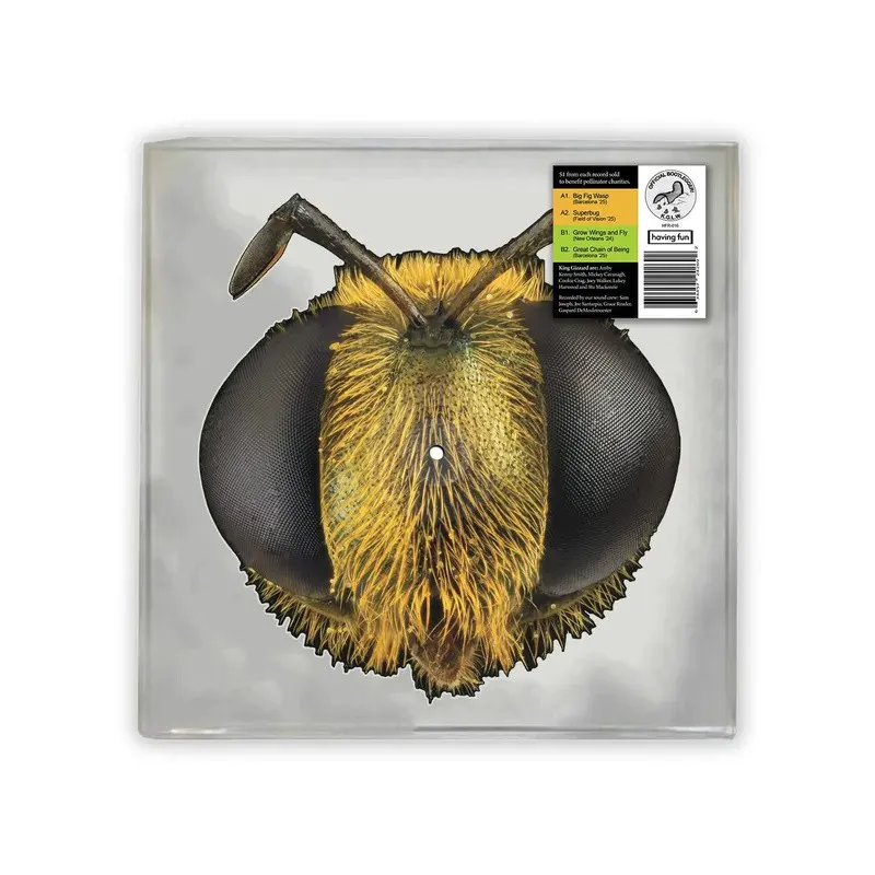 Cover von Big Fig Wasp