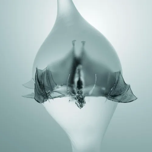Cover of Unprocessed – Angel