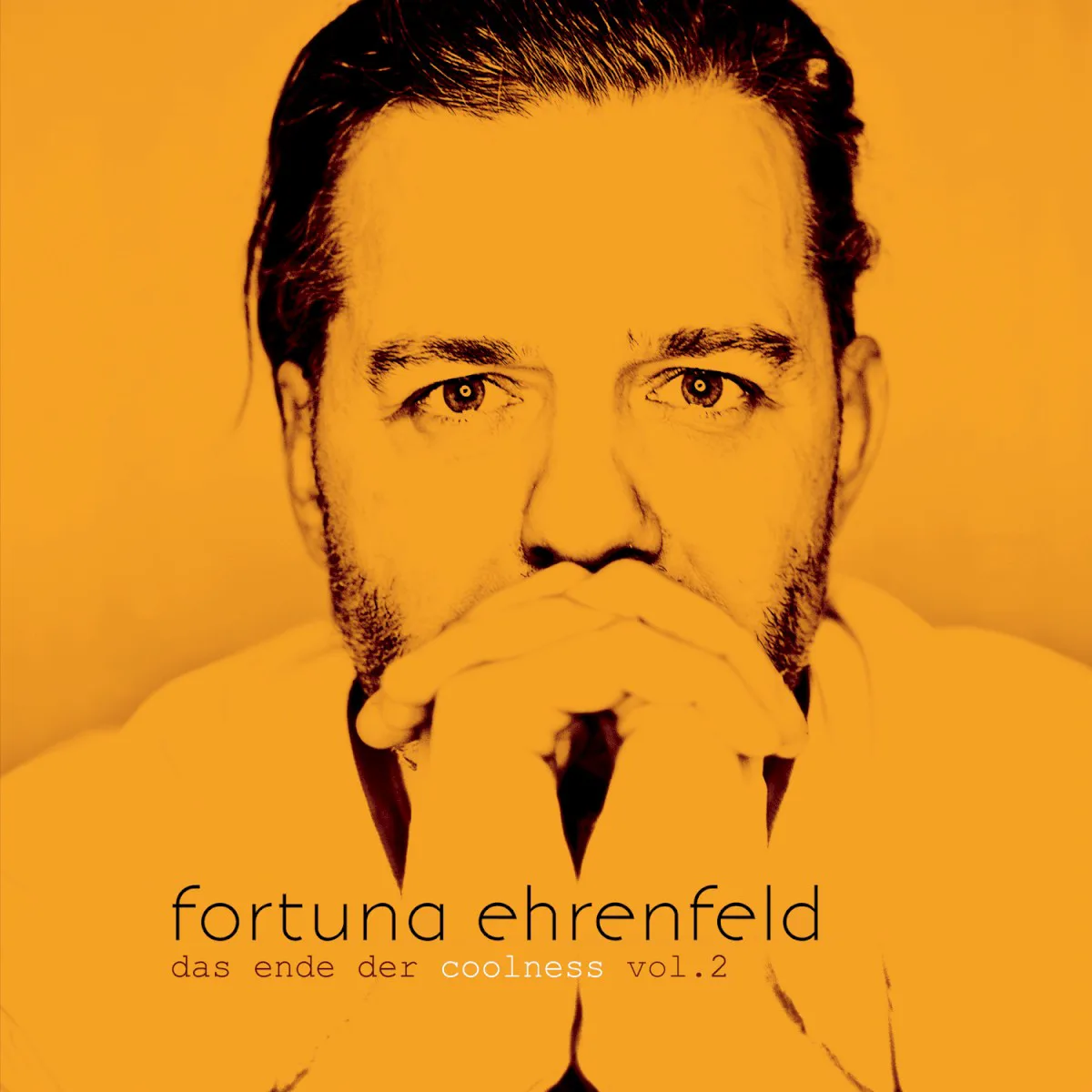 Cover of Fortuna Ehrenfeld – Das Ende der Coolness, Vol. 2