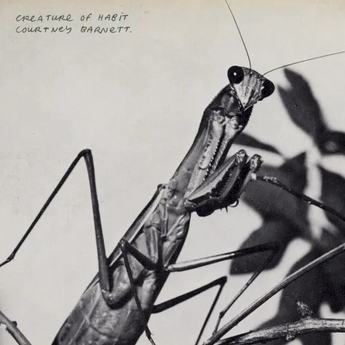 Obal alba Courtney Barnett – Creature of Habit