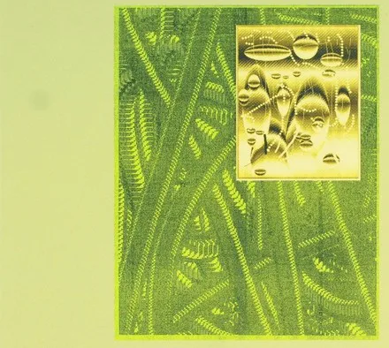 Cover of De Beren Gieren – Less Is Endless