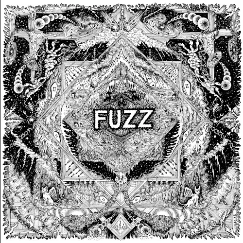 Cover of Fuzz – II