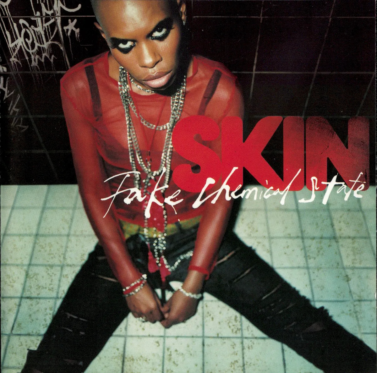 Cover of Fake Chemical State