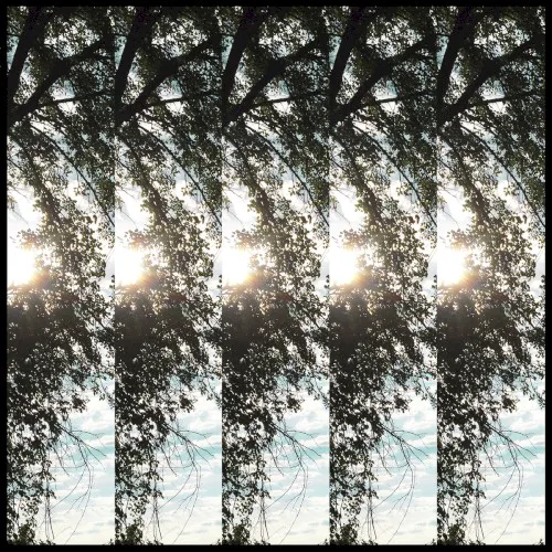 Cover of Pontiak – Dialectic of Ignorance