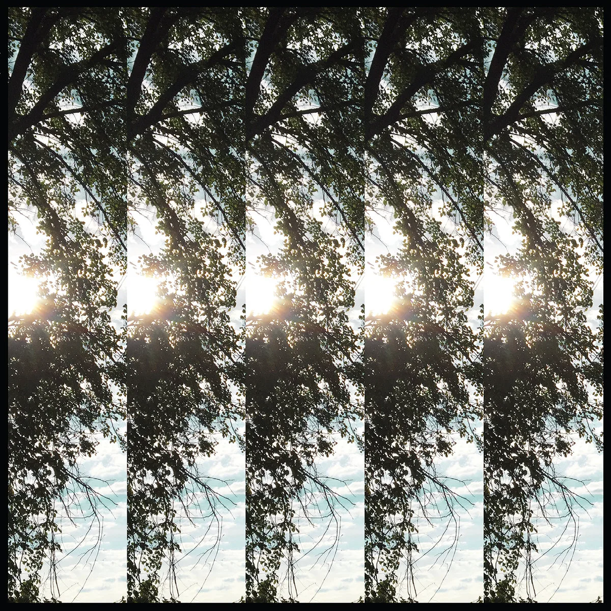 Obal alba Pontiak – Dialectic of Ignorance