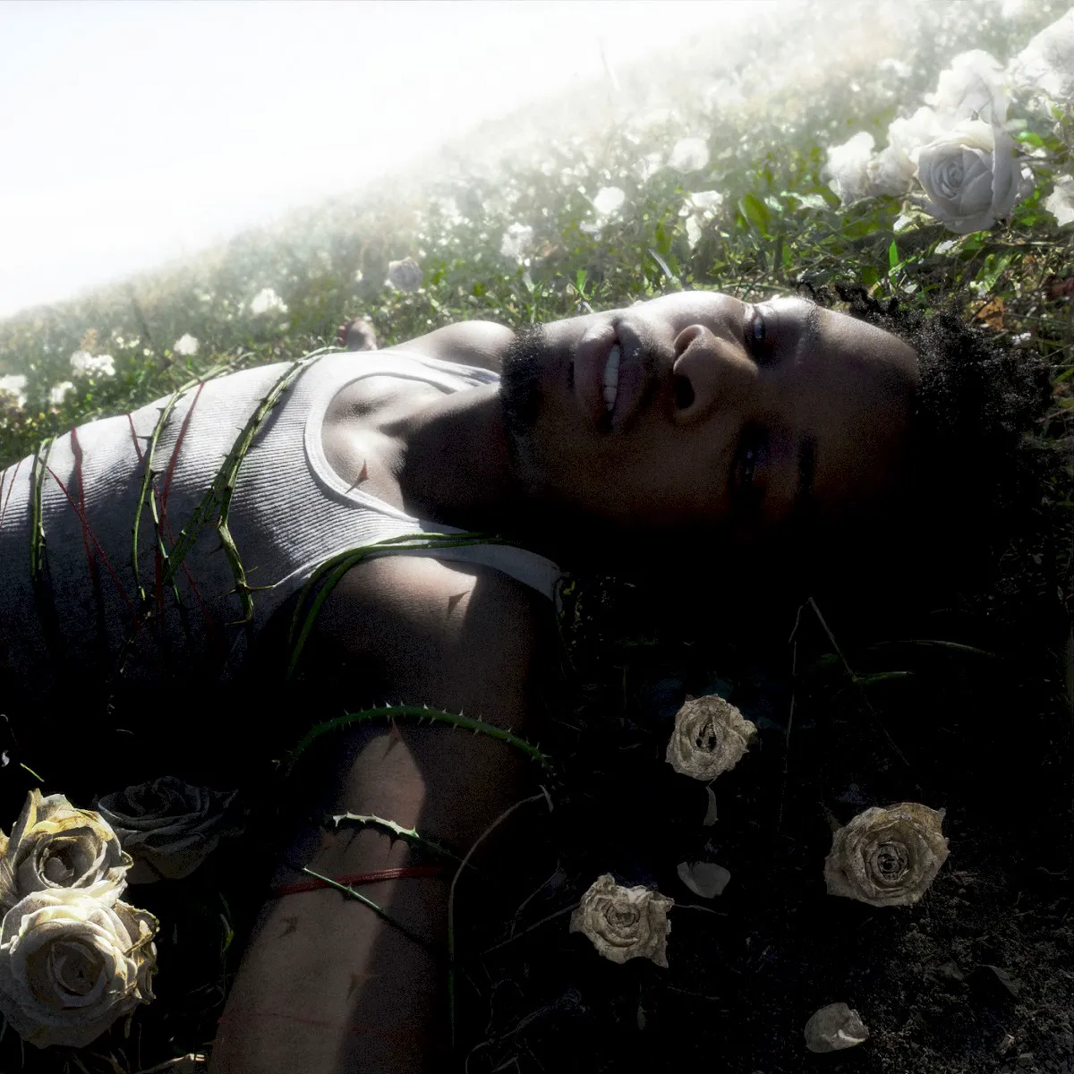 Cover of WITHERED