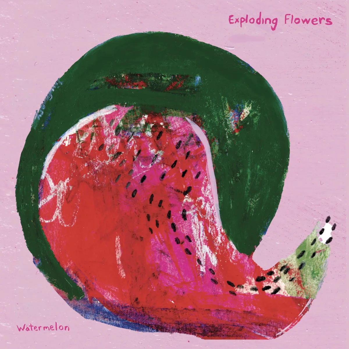Obal alba Exploding Flowers – Watermelon/Peacock
