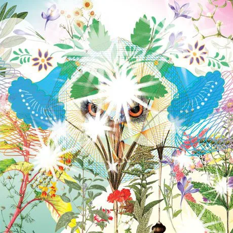 Cover of OOIOO – Gamel