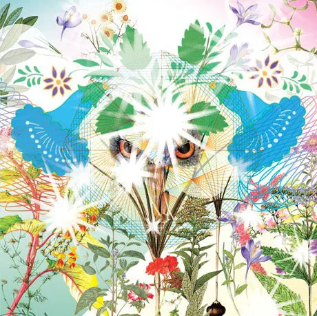 Cover of OOIOO – Gamel