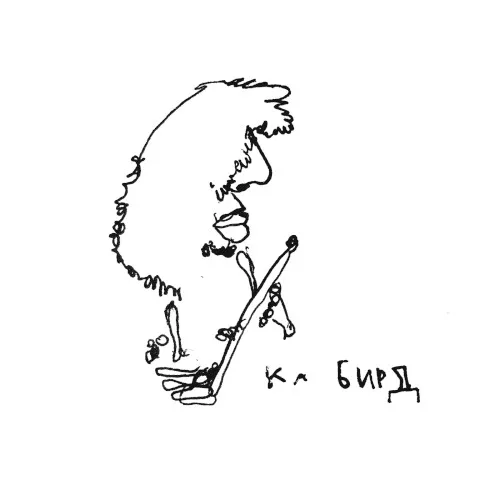 Cover of Ka Baird – Sapropelic Pycnic