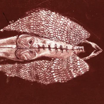 Obal alba Cerberus Shoal – Homb