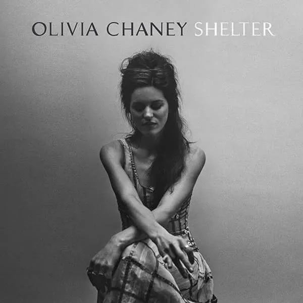Obal alba Shelter