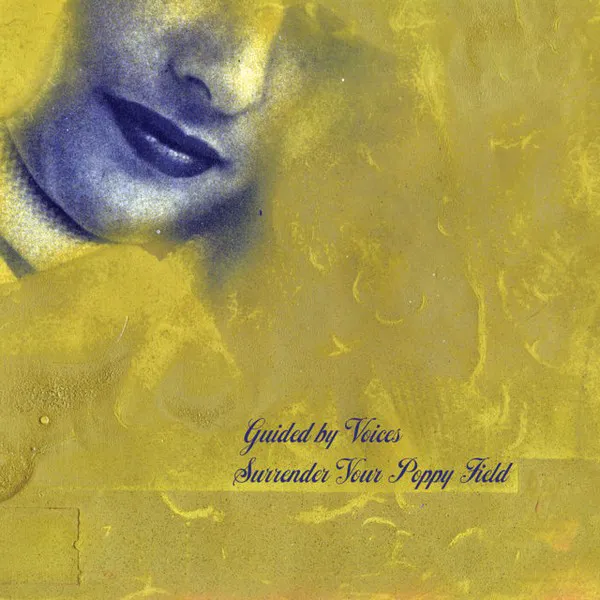 Cover of Surrender Your Poppy Field