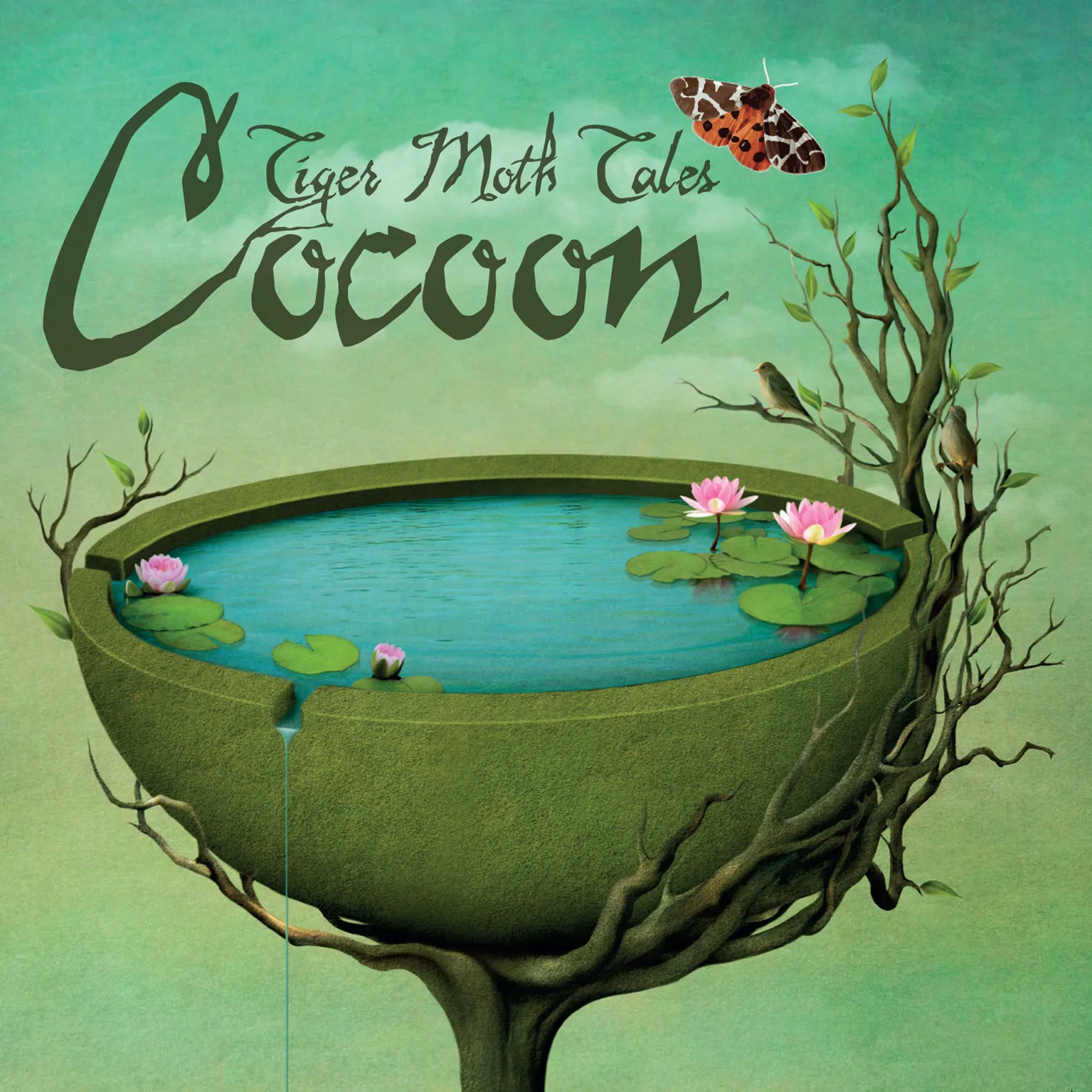 Obal alba Cocoon