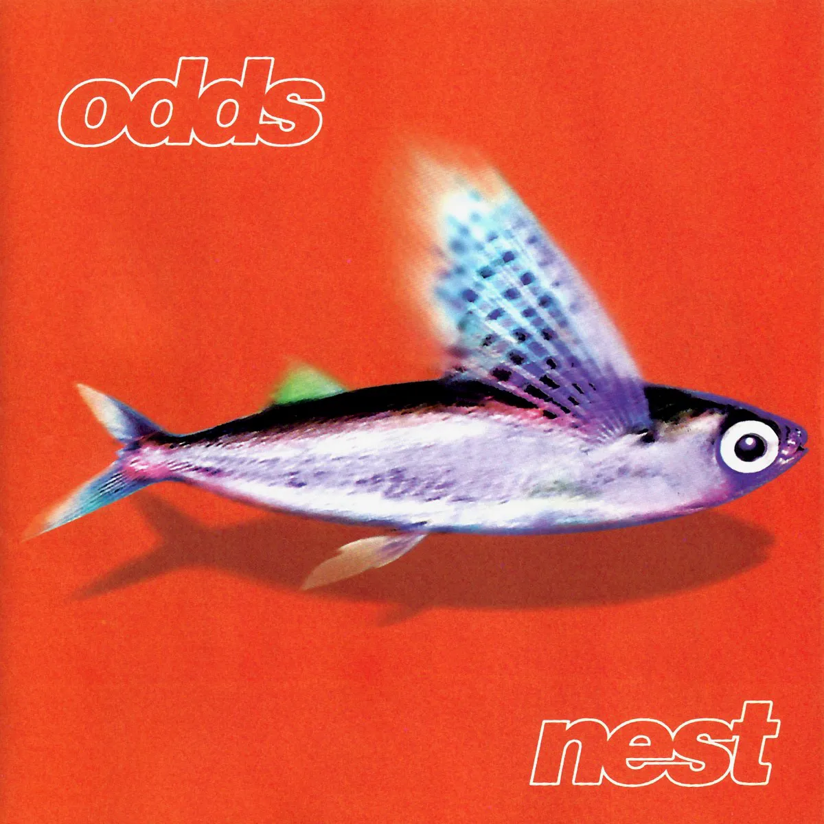 Cover of Nest