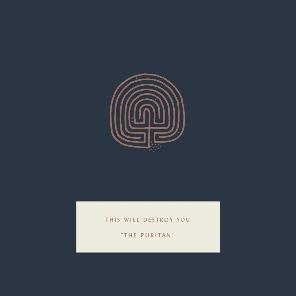 Cover of This Will Destroy You – The Puritan