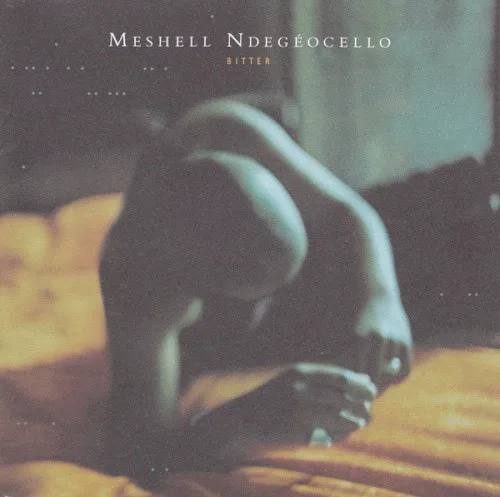 Cover of Meshell Ndegeocello – Bitter