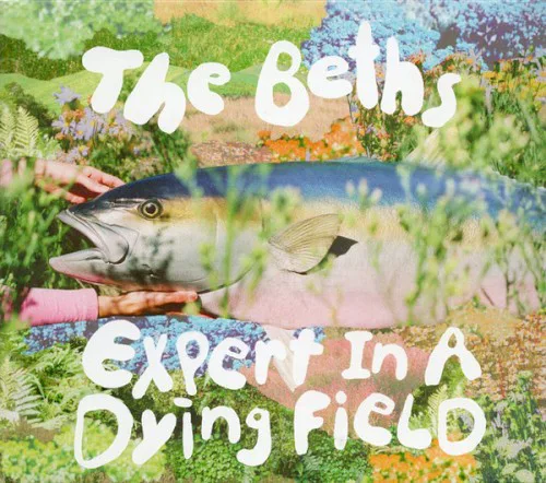 Cover of The Beths – Expert in a Dying Field