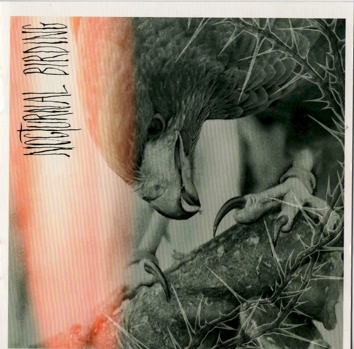 Cover of Nocturnal Birding