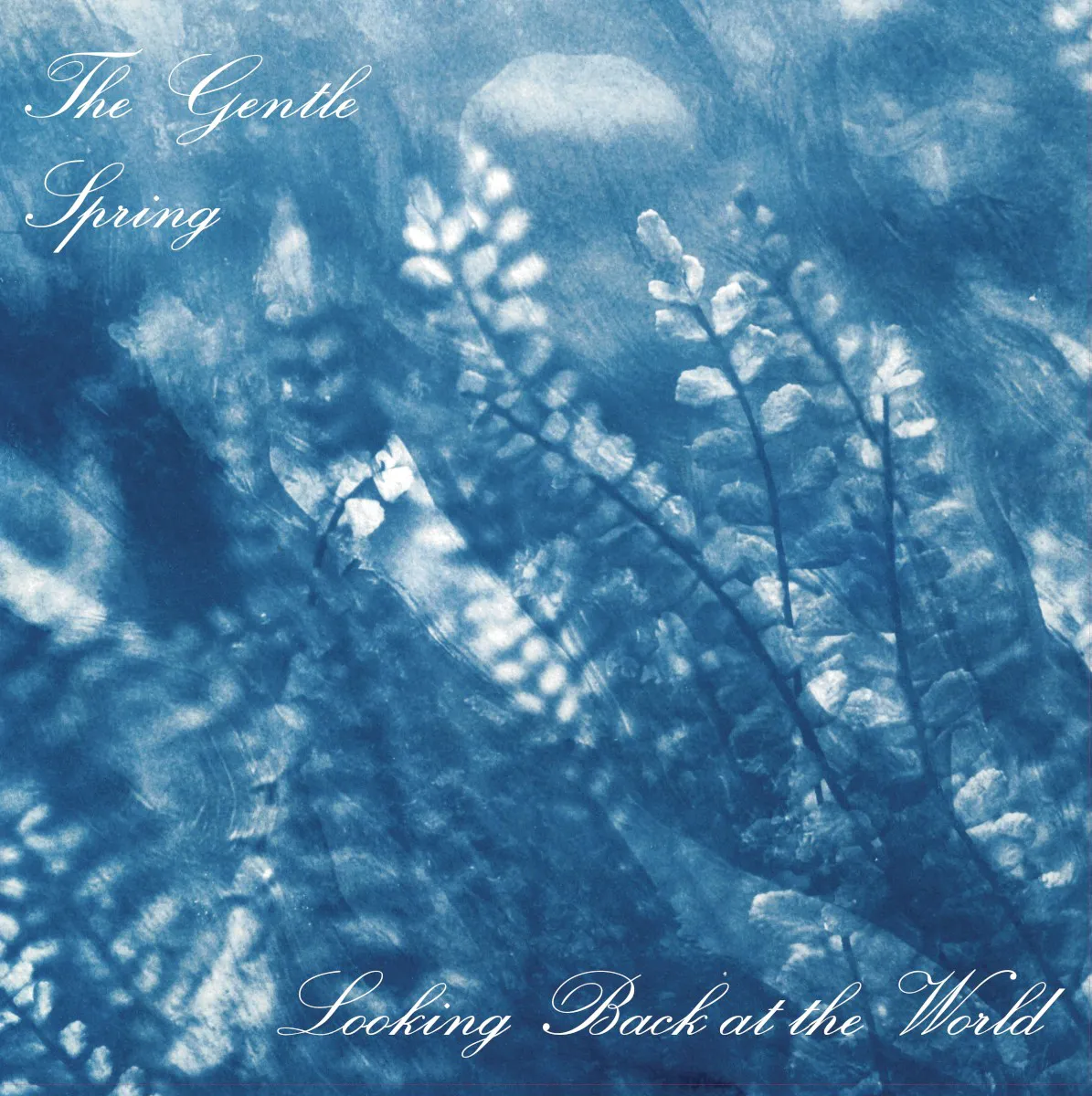 Cover of Looking Back At The World