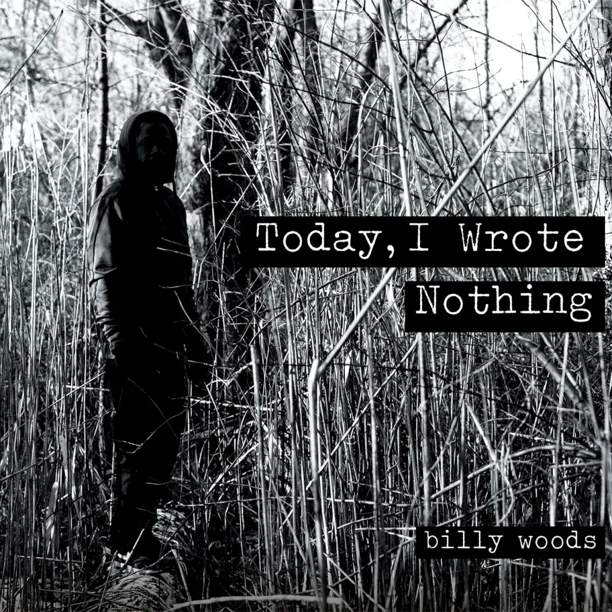 Obal alba Today, I Wrote Nothing
