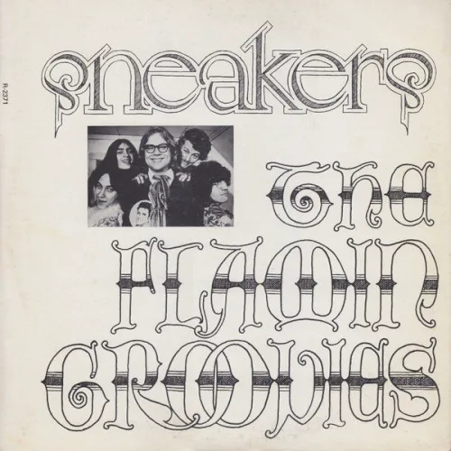 Cover of Flamin’ Groovies – Sneakers
