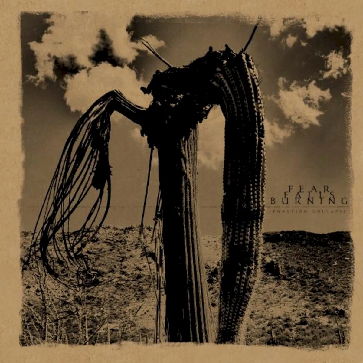 Cover of Function Collapse