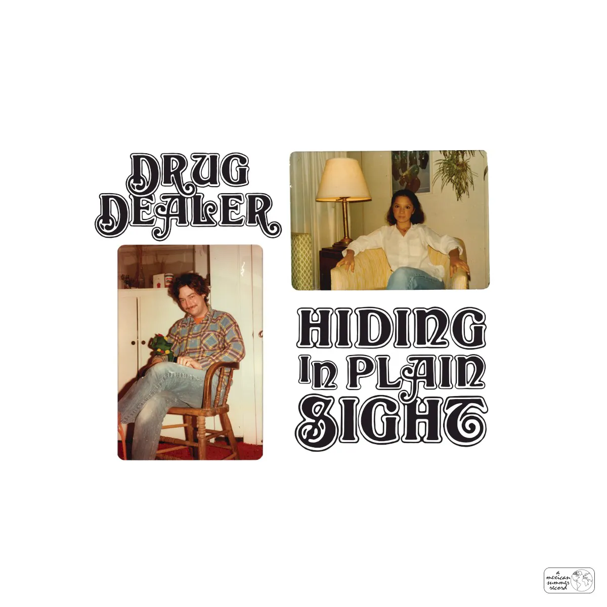 Cover of Hiding in Plain Sight