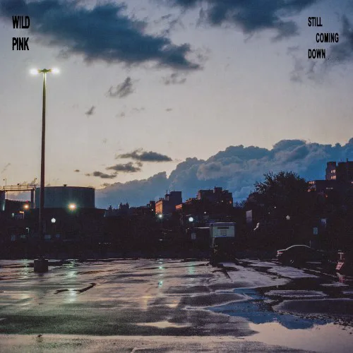 Cover of Wild Pink – Still Coming Down