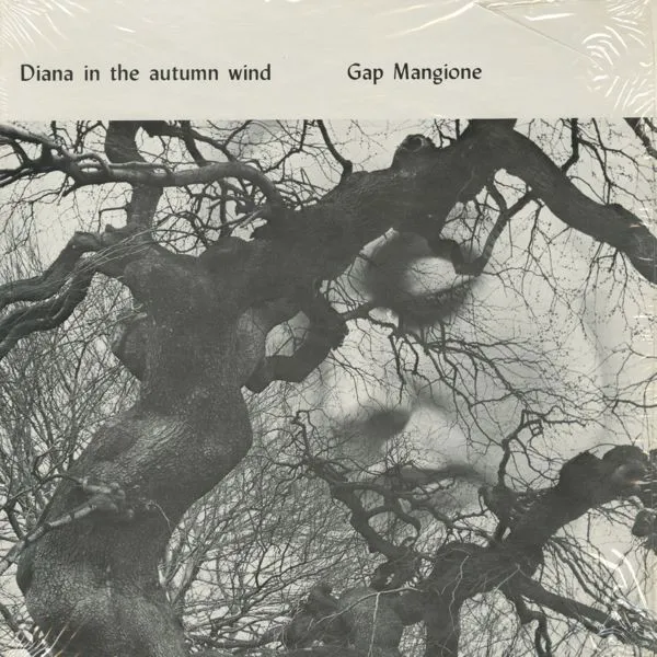 Cover of Diana in the Autumn Wind