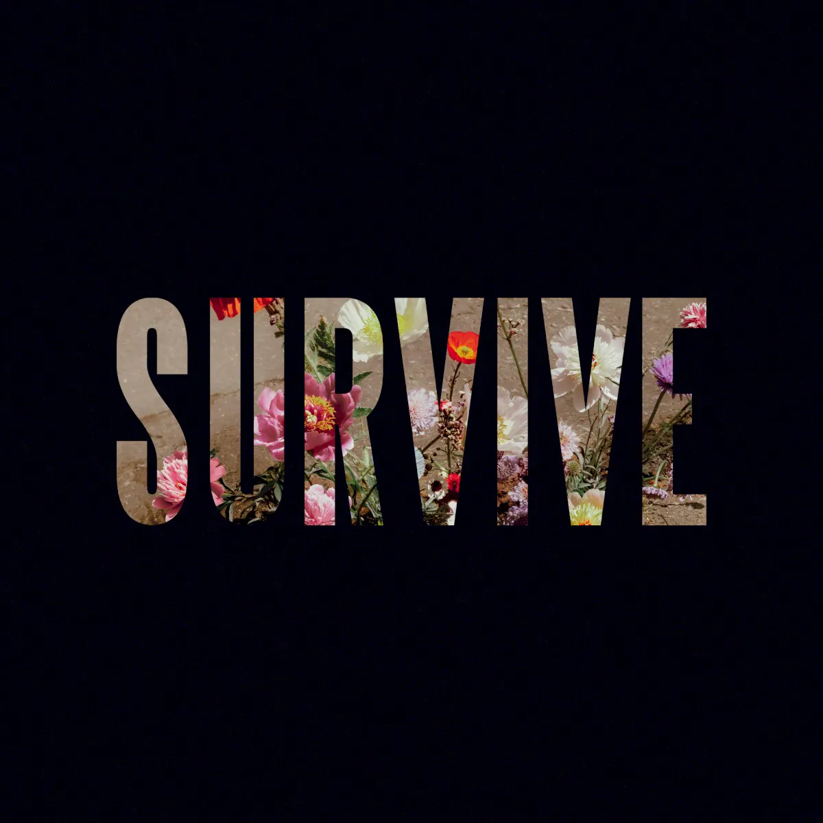 Obal albumu Survive EP