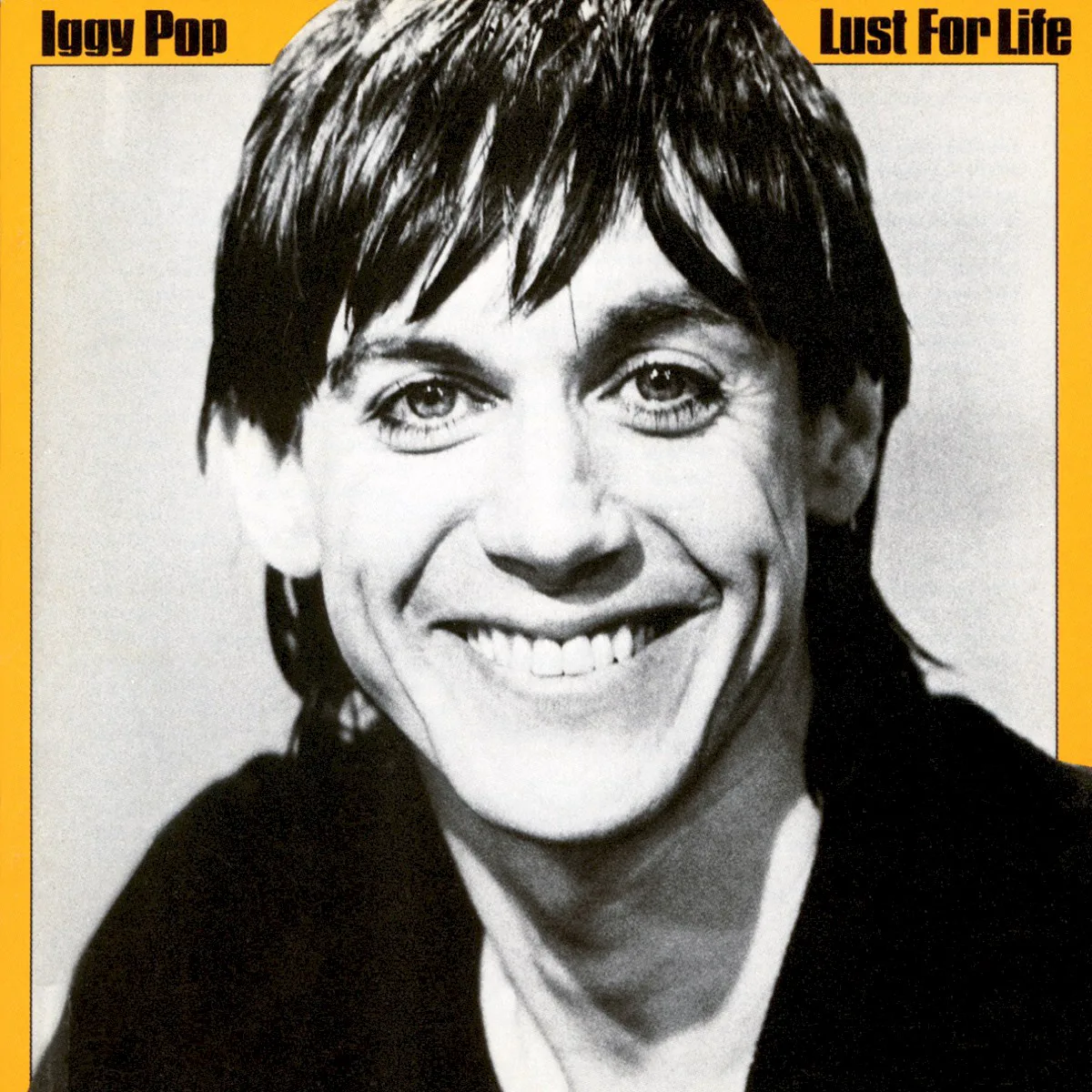Obal alba Iggy Pop – Lust for Life