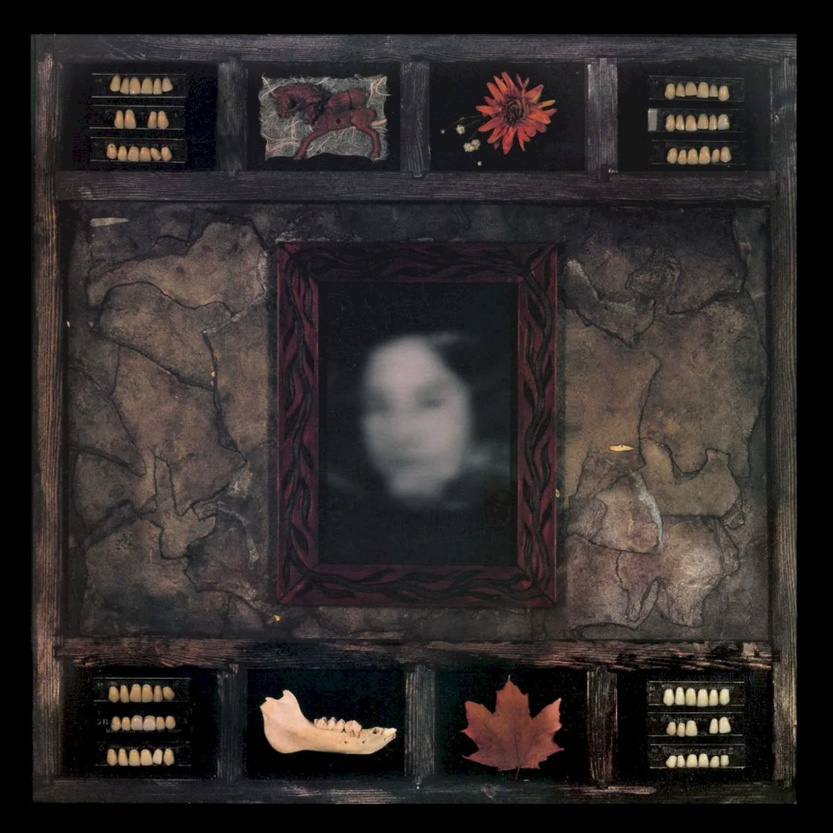 Cover of Face of Collapse