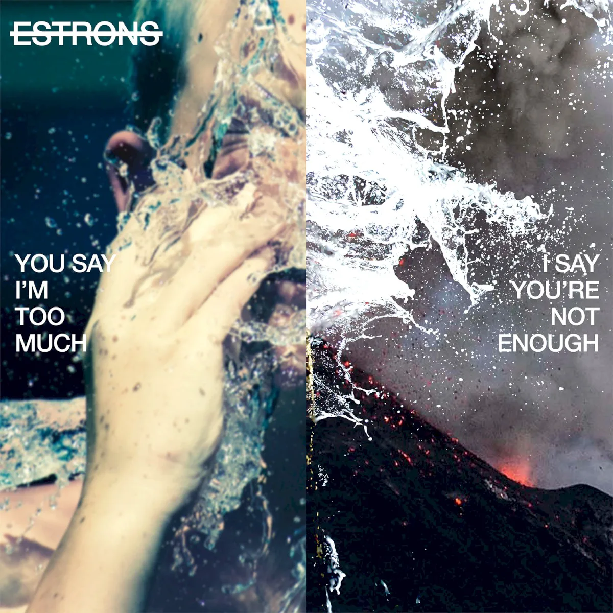 Cover of Estrons – You Say I’m Too Much, I Say You’re Not Enough